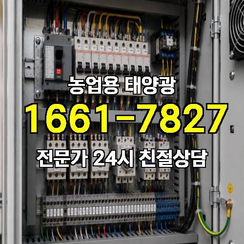 게시판 이미지 4356