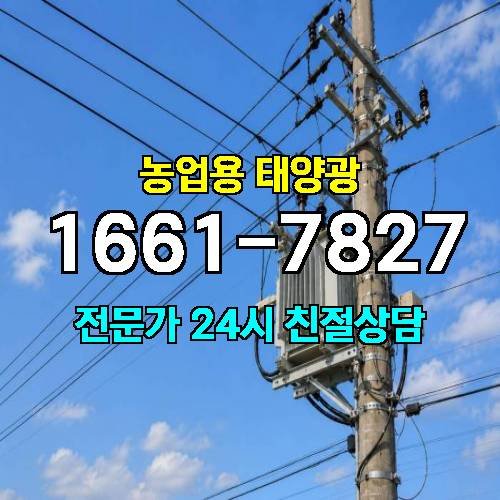 게시판 이미지 4425