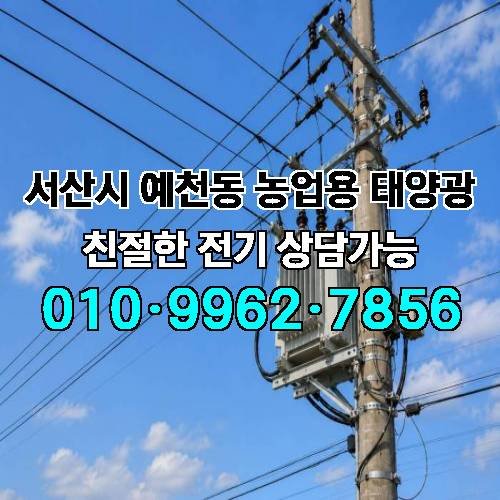 게시판 이미지 4516