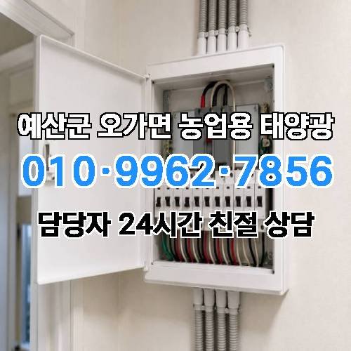 게시판 이미지 4585