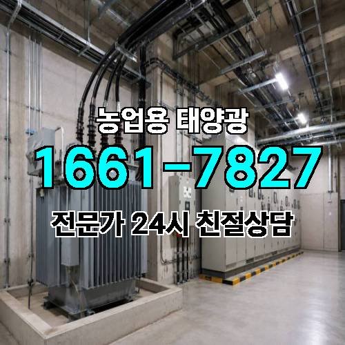 게시판 이미지 4661