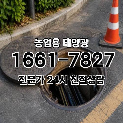 게시판 이미지 4832