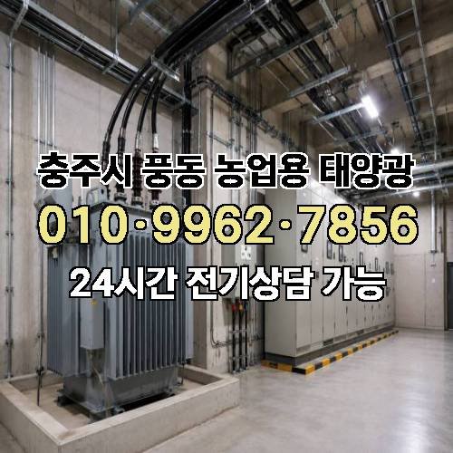 게시판 이미지 4910