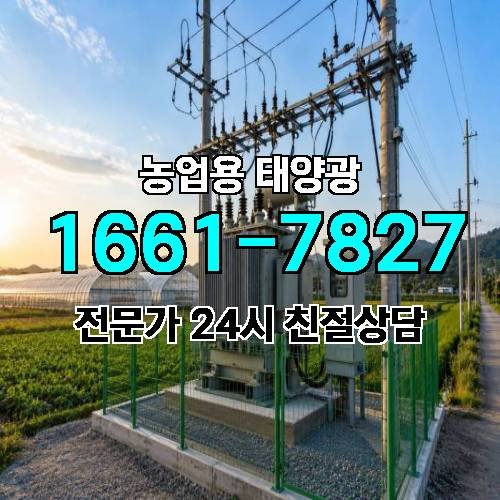 게시판 이미지 6