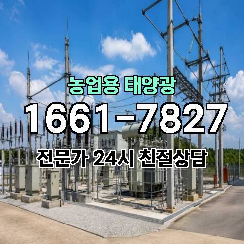 게시판 이미지 712