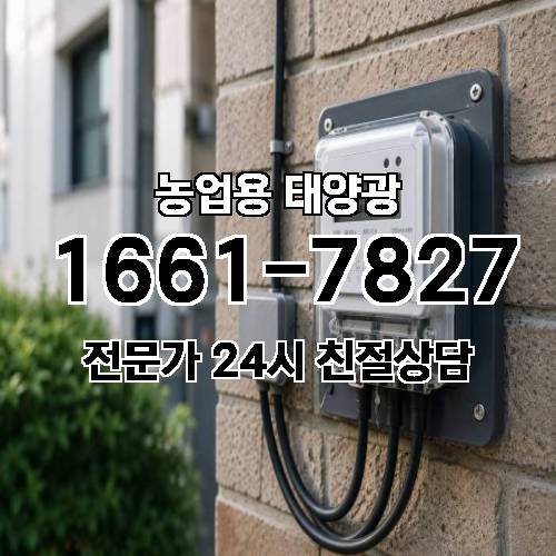 게시판 이미지 922