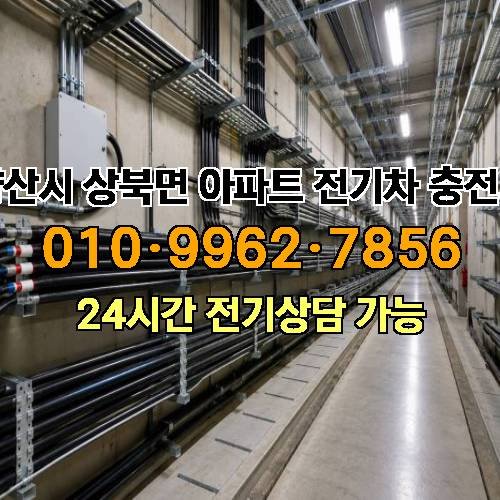 게시판 이미지 1291