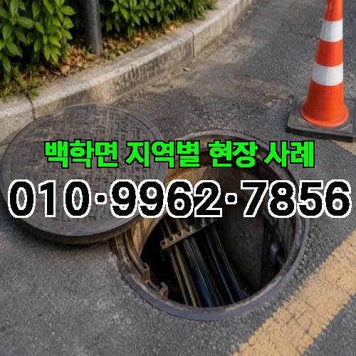 게시판 이미지 11696