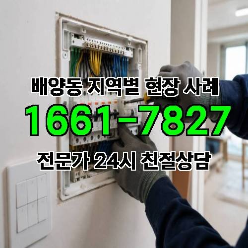 게시판 이미지 11958