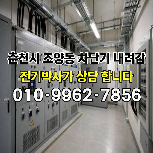 게시판 이미지 1432