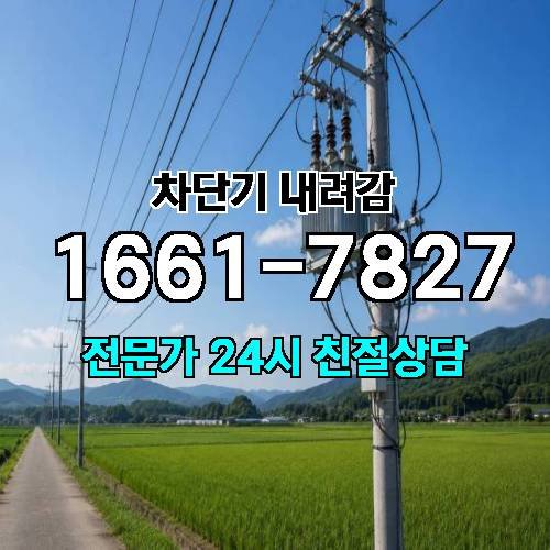 게시판 이미지 1772