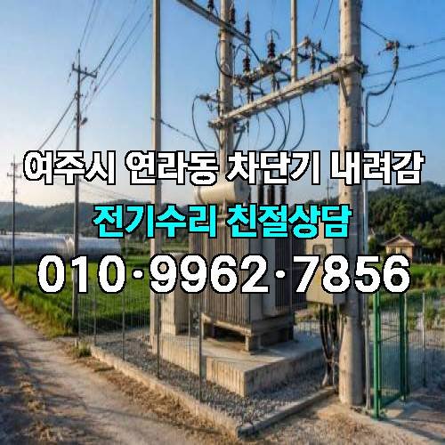 게시판 이미지 1979