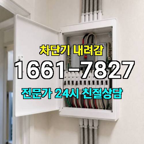 게시판 이미지 2136