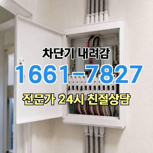게시판 이미지 2344