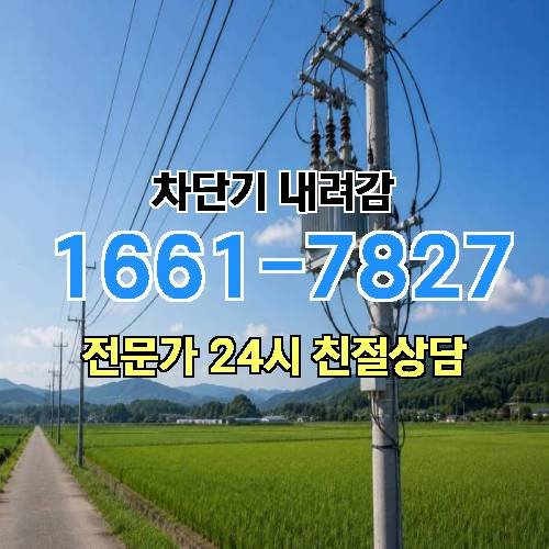 게시판 이미지 2691