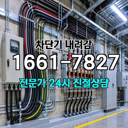 게시판 이미지 2764