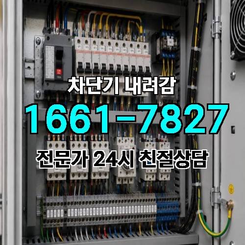 게시판 이미지 2957