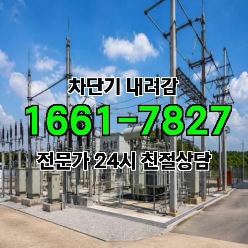 게시판 이미지 3117