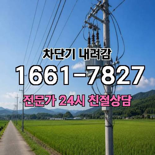 게시판 이미지 3969