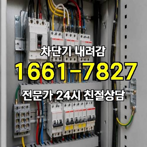 게시판 이미지 4311