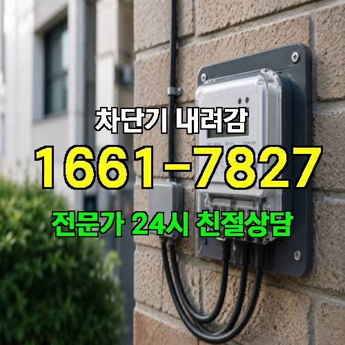 게시판 이미지 4449