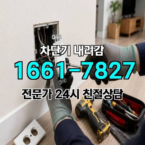 게시판 이미지 4457