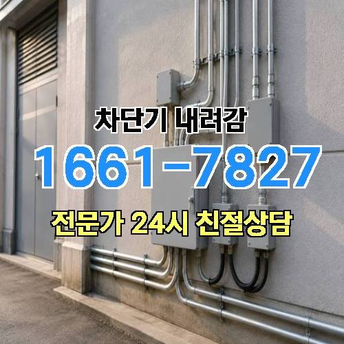게시판 이미지 4581