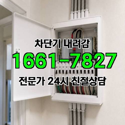 게시판 이미지 5015