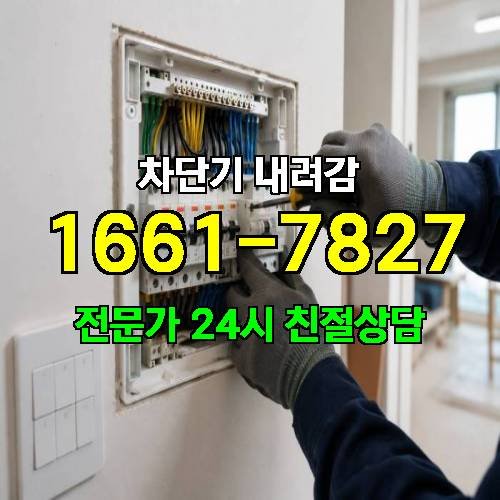 게시판 이미지 5315