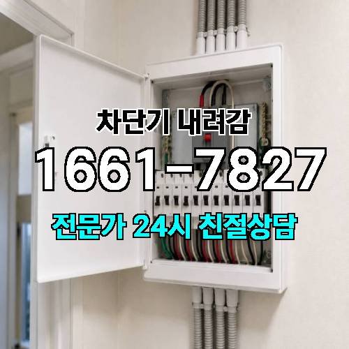 게시판 이미지 5319