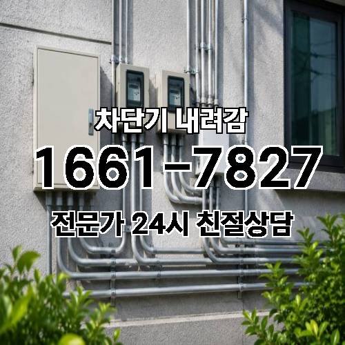 게시판 이미지 5347