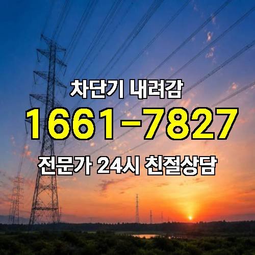 게시판 이미지 5981