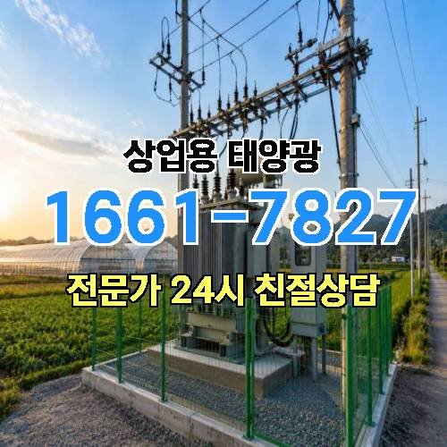 게시판 이미지 1386