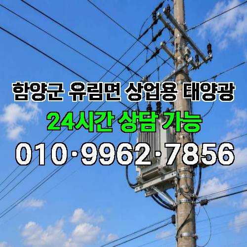게시판 이미지 1628