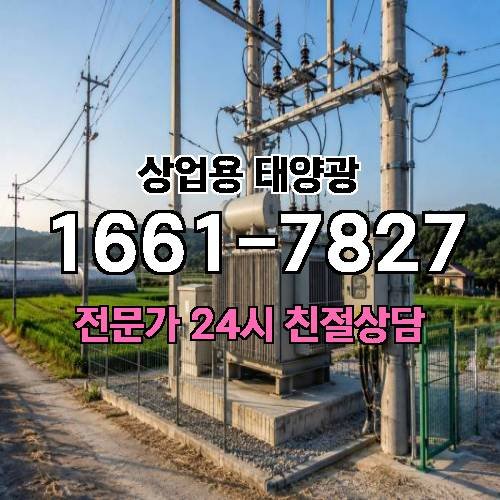게시판 이미지 229