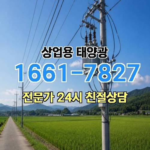 게시판 이미지 3428