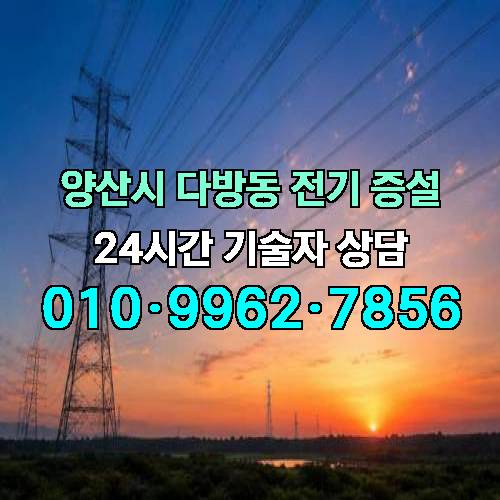 게시판 이미지 4202
