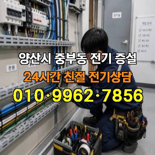 게시판 이미지 4222