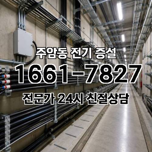 게시판 이미지 7911