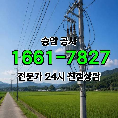 게시판 이미지 1339
