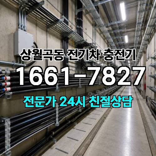 게시판 이미지 7977