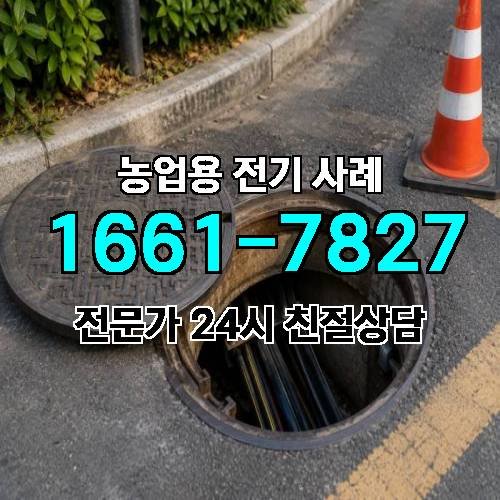 게시판 이미지 1231