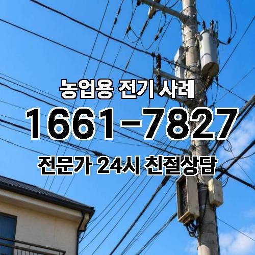 게시판 이미지 1562