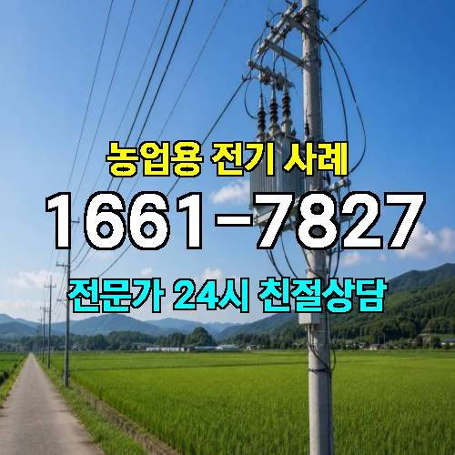 게시판 이미지 2250