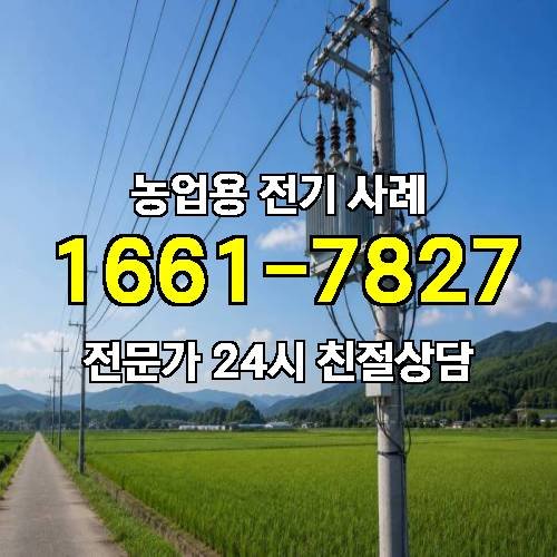 게시판 이미지 2334