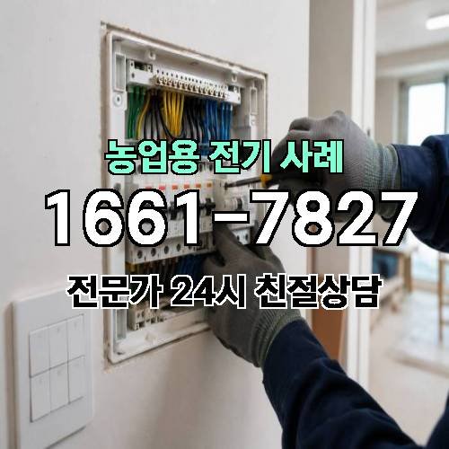 게시판 이미지 2387