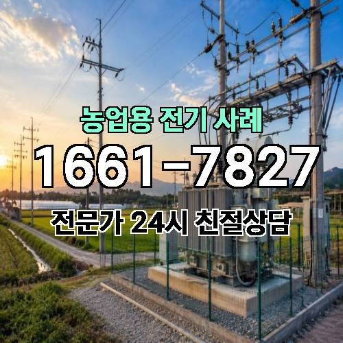 게시판 이미지 245
