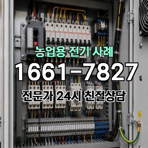 게시판 이미지 2458