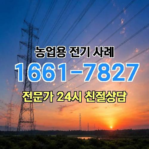 게시판 이미지 2488