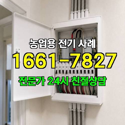 게시판 이미지 2489